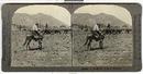 STEREOVIIEW - ARIZONA CATTLE ROUND-UP