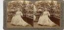 STEREOVIEW - Mrs. McKinley in the Conservatory
