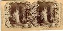 STEREOVIEW - THE FIRST CLOUD