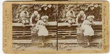 STEREOVIEW - THREE CHILDREN PICKING FRUIT