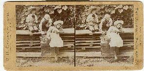 STEREOVIEW - THREE CHILDREN PICKING FRUIT