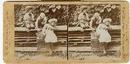 STEREOVIEW - THREE CHILDREN PICKING FRUIT