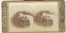 STEREOVIEW-COMPANIONS