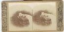 STEREOVIEW-COMPANIONS