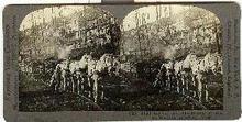 STEREOVIEW - WWI - LIGHT RAILWAY , LA HARAZEE, ARGONNE, FOREST