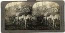 STEREOVIEW - WWI - LIGHT RAILWAY , LA HARAZEE, ARGONNE, FOREST