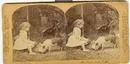 STEREOVIEW - CHILD AND PIGGIE