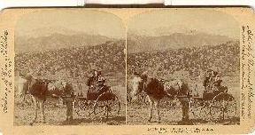 STEREOVIEW - COURTSHIP IN THE ROCKIES, COLORADO, U.S.A.
