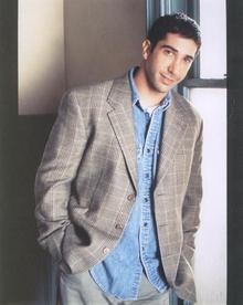 COLOR PHOTO OF FRIENDS - DAVID SCHWIMMER