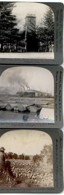 SET OF 3 STEREO VIEWS
