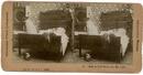 STEREO VIEW - LAST IN BED...