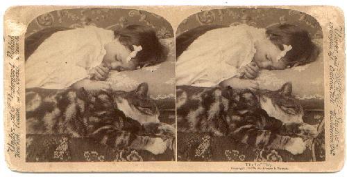 ASLEEP WITH THE CAT... STEREOVIEW
