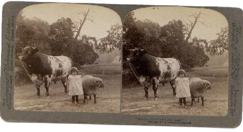 LITTLE FARM GIRL - STEREOVIEW