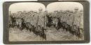GENERAL PERSHING DECORATING OFFICERS - STEREOVIEW