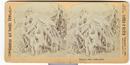 STEREOVIEW - NIAGARA, CORAL ICE FORMATION