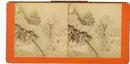 STEREOVIEW - WONDERLAND, NIAGARA, U.S.A.