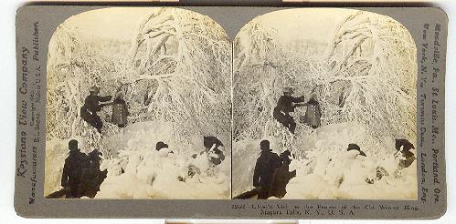 STEREOVIEW - Lilian's visit to the realms of the Old Winter King, Niagara Falls, N.Y., U.S.A.