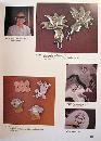 MEXICAN SILVER - 20th CENTURY JEWELRY