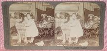 STEREOVIEW - A YOUNG GIRL & HER DOLLS & DOG