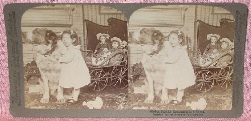 STEREOVIEW - A YOUNG GIRL & HER DOLLS & DOG