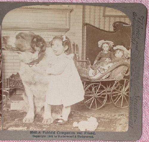 STEREOVIEW - A YOUNG GIRL & HER DOLLS & DOG