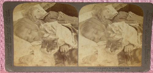 STEREOVIEW - GIRL SLEEPING WITH HER DOLL & CAT