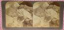 STEREOVIEW - GIRL SLEEPING WITH HER DOLL & CAT