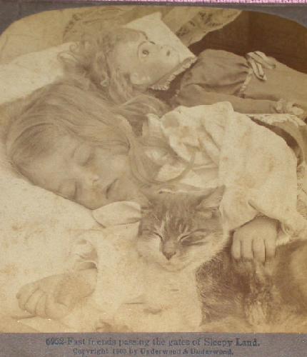 STEREOVIEW - GIRL SLEEPING WITH HER DOLL & CAT