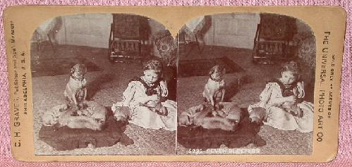 STEREOVIEW - YOUNG GIRL WITH HER DOGS