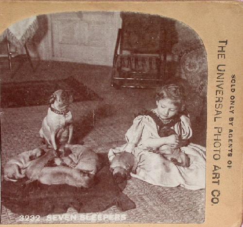 STEREOVIEW - YOUNG GIRL WITH HER DOGS