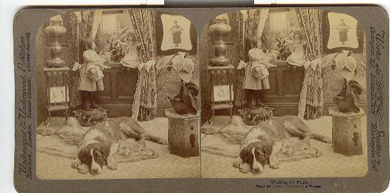 DOLL STEREOVIEW -