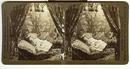 1904 DOLL STEREOVIEW -
