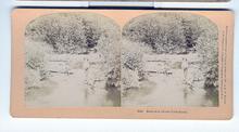CHILD STEREOVIEW - ROMANCE OF OUR CHILDHOOD