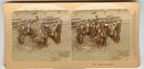 CHILD STEREOVIEW - YOUNG AMERICA