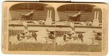 CHILD STEREOVIEW - WEARY PLAYMATES