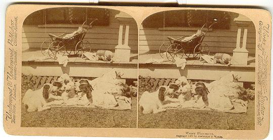 CHILD STEREOVIEW - WEARY PLAYMATES