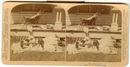 CHILD STEREOVIEW - WEARY PLAYMATES