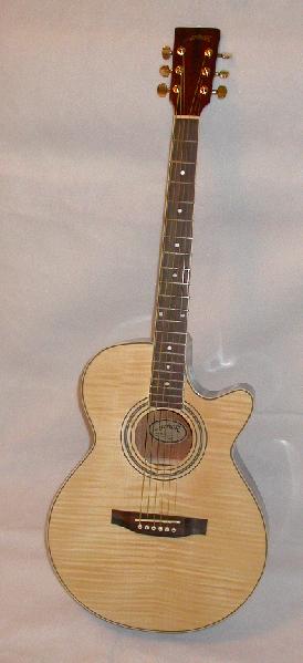 BEAUTIFUL ACOUSTIC-ELECTRIC GUITAR BY ARBOR