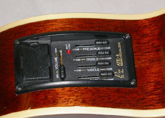 BEAUTIFUL ACOUSTIC-ELECTRIC GUITAR BY ARBOR