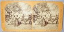 STEREOVIEW - FLORIDA EXPRESS