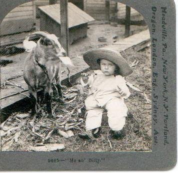 KEYSTONE STEREOVIEW - BILLY GOAT & BABY!