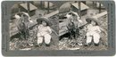 KEYSTONE STEREOVIEW - BILLY GOAT & BABY!