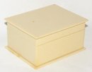 FRENCH IVORY
