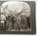 GROUP OF SIX WORLD WAR I STEREOVIEWS