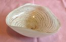 BEAUTIFUL WHITE AND GOLD STRIPE MURANO GLASS