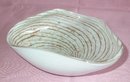 BEAUTIFUL WHITE AND GOLD STRIPE MURANO GLASS