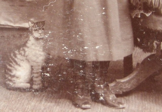 Portrait of Siblings and a Cardboard Cat - CABINET CARD