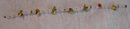 Classic 1940's Tutti Frutti Necklace