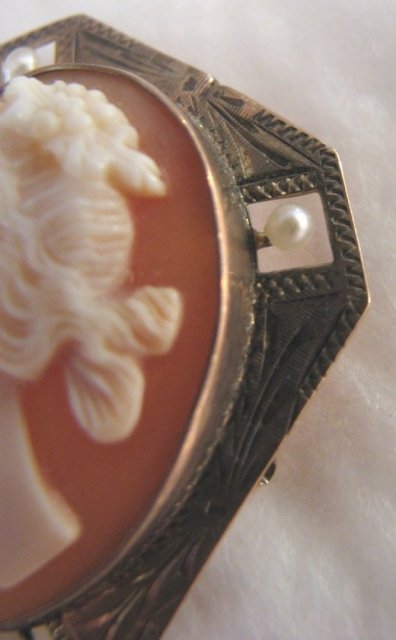19th Century Left Facing Shell Cameo Brooch with Seed Pearl Accents