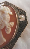 19th Century Left Facing Shell Cameo Brooch with Seed Pearl Accents